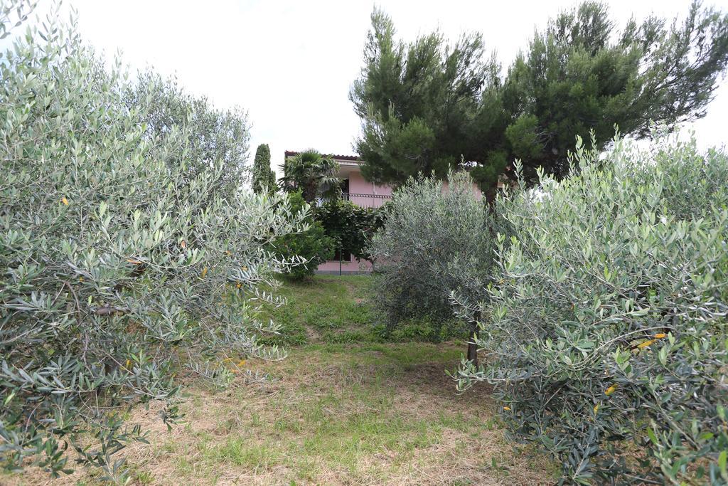 Mejak & Bordon Sečovlje Exterior foto