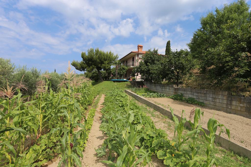 Mejak & Bordon Sečovlje Exterior foto